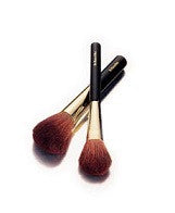 Dr.Hauschka Lymph Brush ( In Pair )